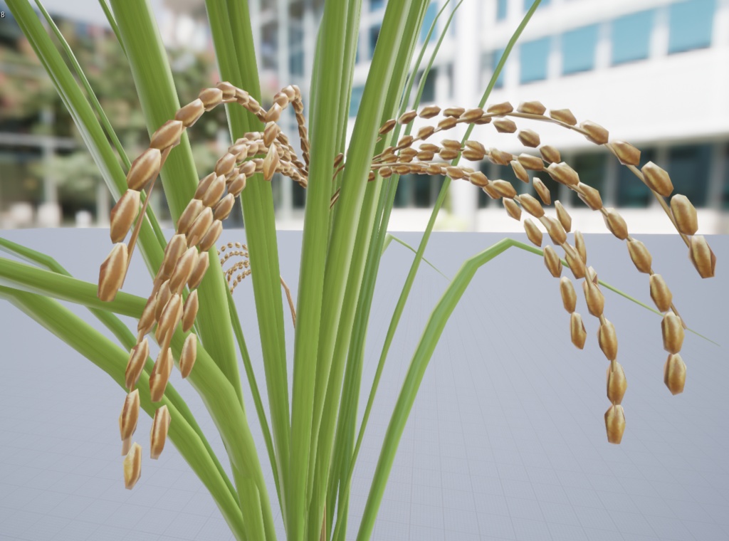 稲のような植物の3Dモデル