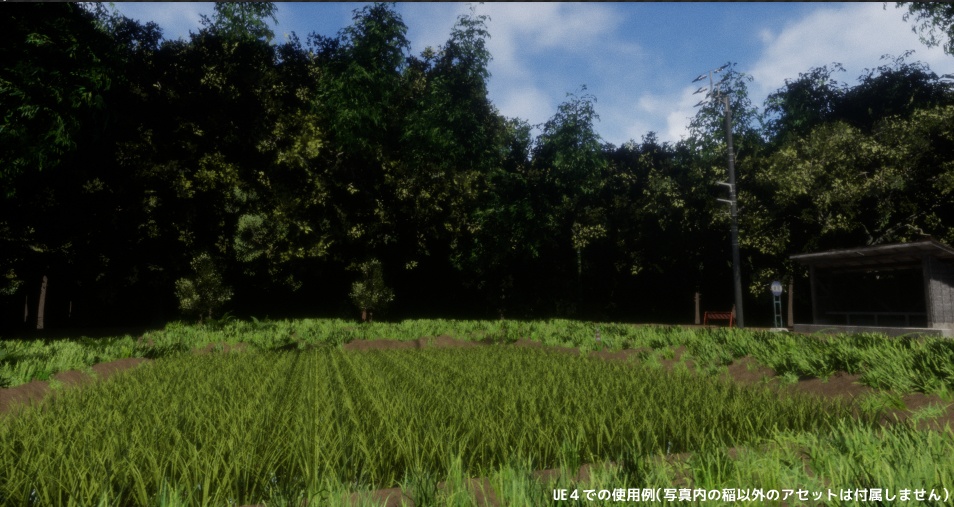 稲のような植物の3Dモデル