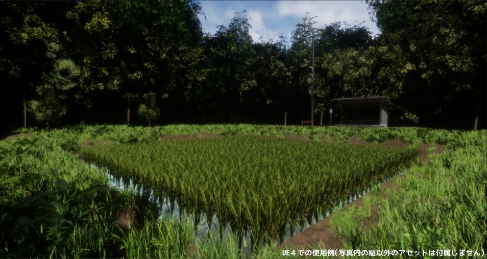 稲のような植物の3Dモデル