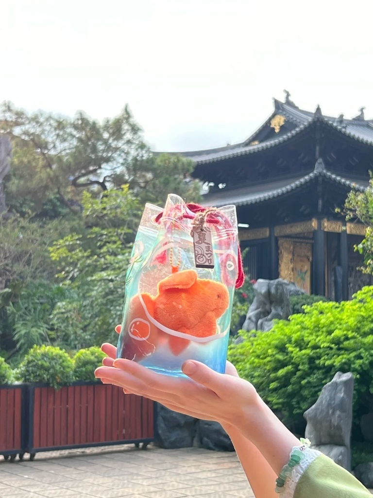 「通販」꒰金魚袋꒱「ぬいぐるみ用バッグ / ぬい用ポーチ」