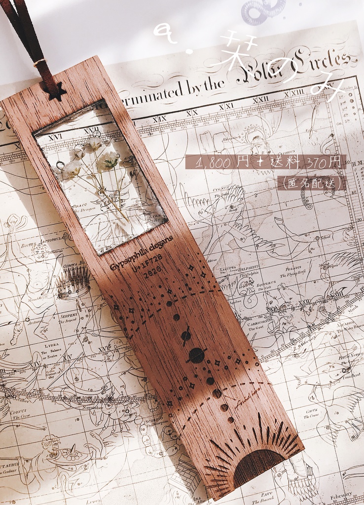 宇宙の植物標本【木製栞】:カスミソウ