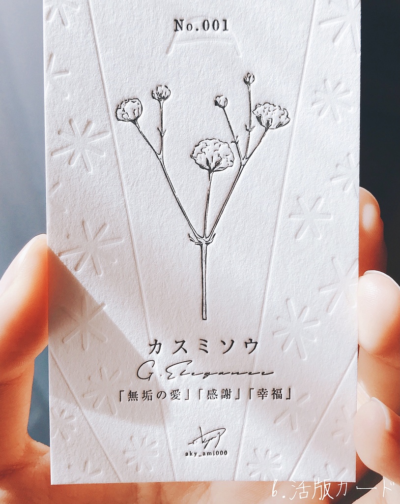 宇宙の植物標本【木製栞】:カスミソウ