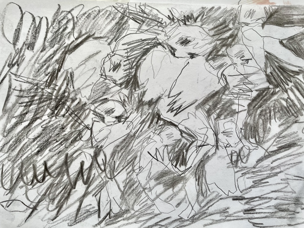 drawing