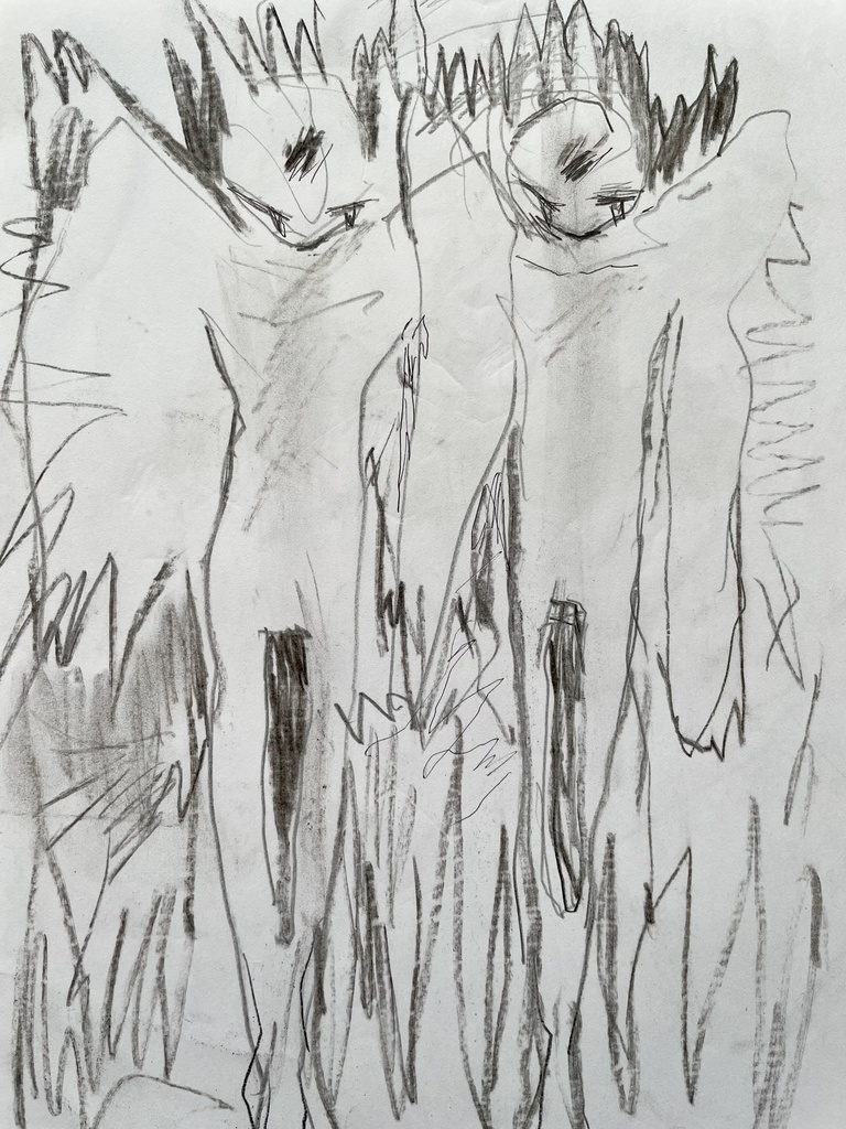 drawing