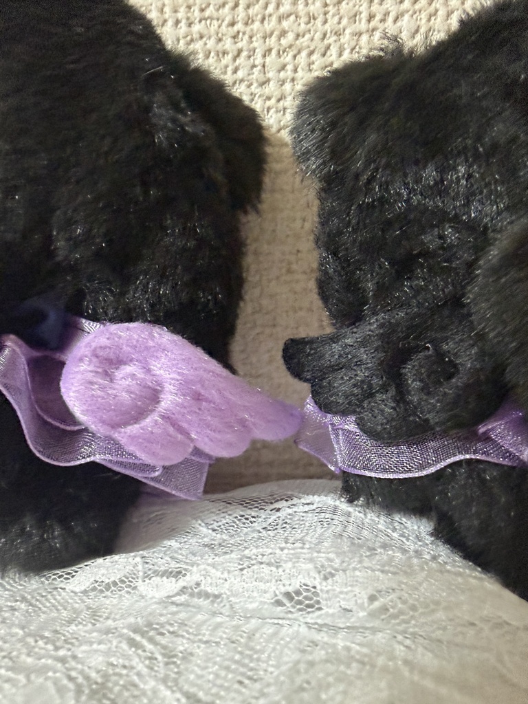天使なうさぎ 小悪魔な猫 8cmきぐるみ