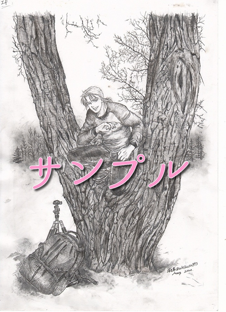 10月11日新刊 ❇︎ 夜光雲