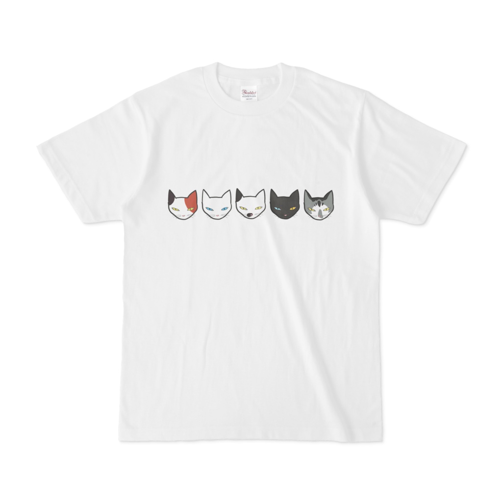 むっすり猫だなぁ～～ン