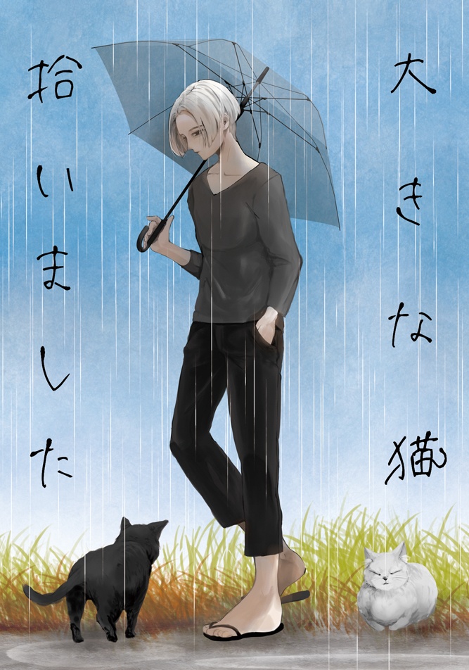 【東卍夢】大きな猫拾いました【myk夢小説本】