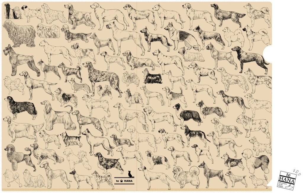 ペーパーファイル