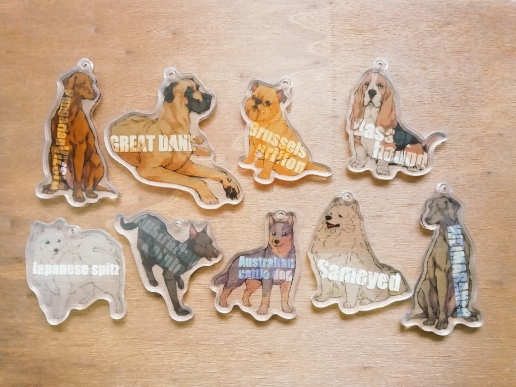 キーチャーム　マイナー犬種