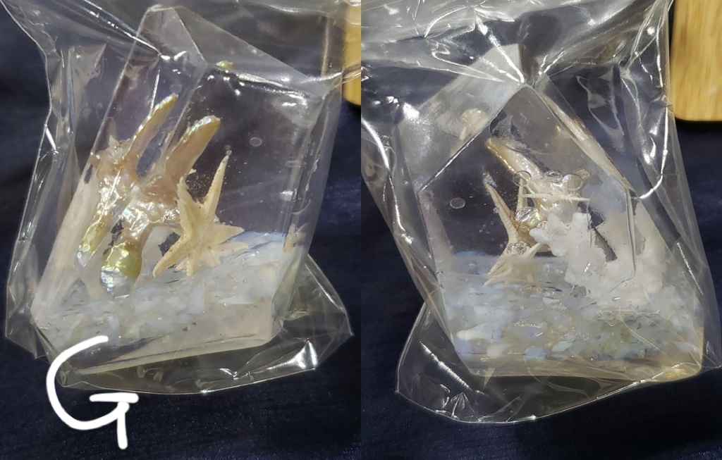 立体作品『人魚の庭園』シリーズ