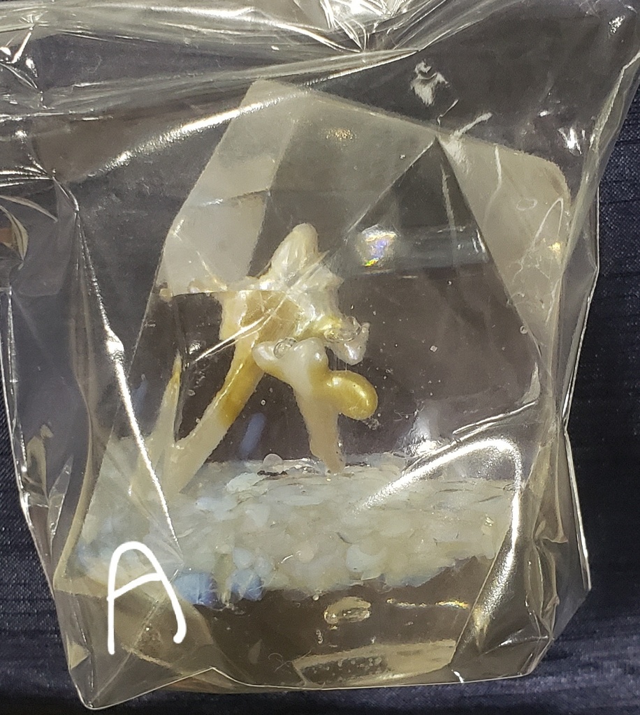 立体作品『人魚の庭園』シリーズ