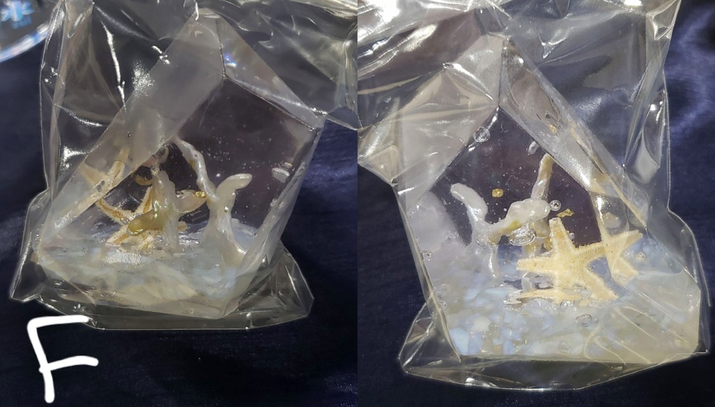 立体作品『人魚の庭園』シリーズ