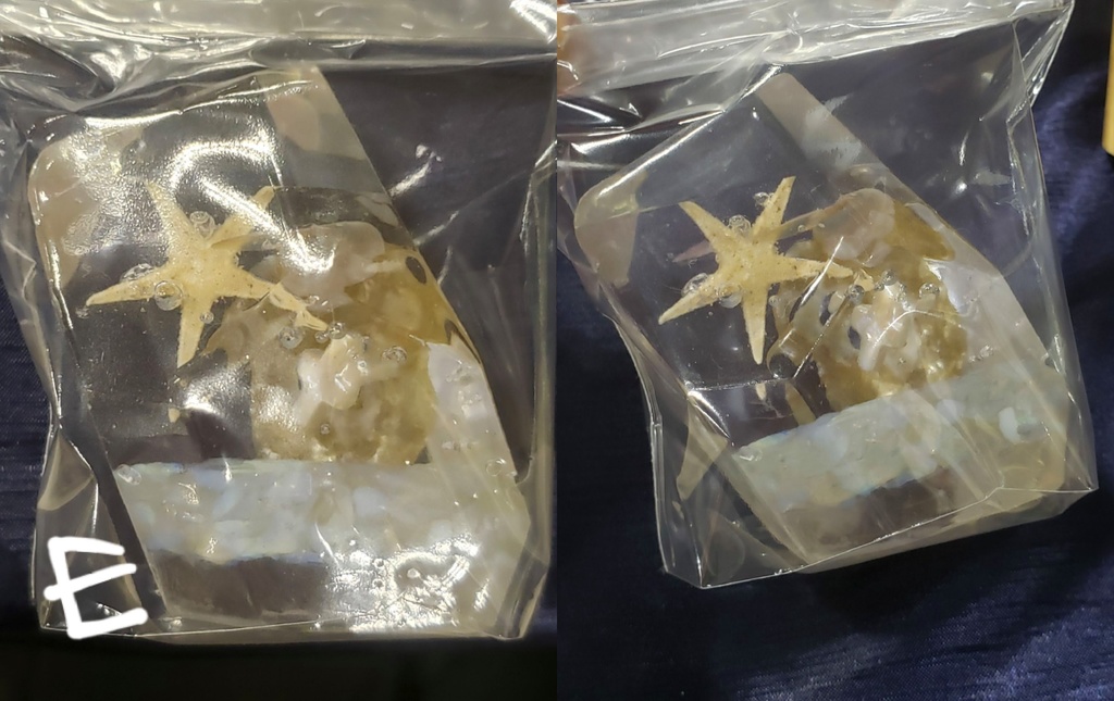 立体作品『人魚の庭園』シリーズ