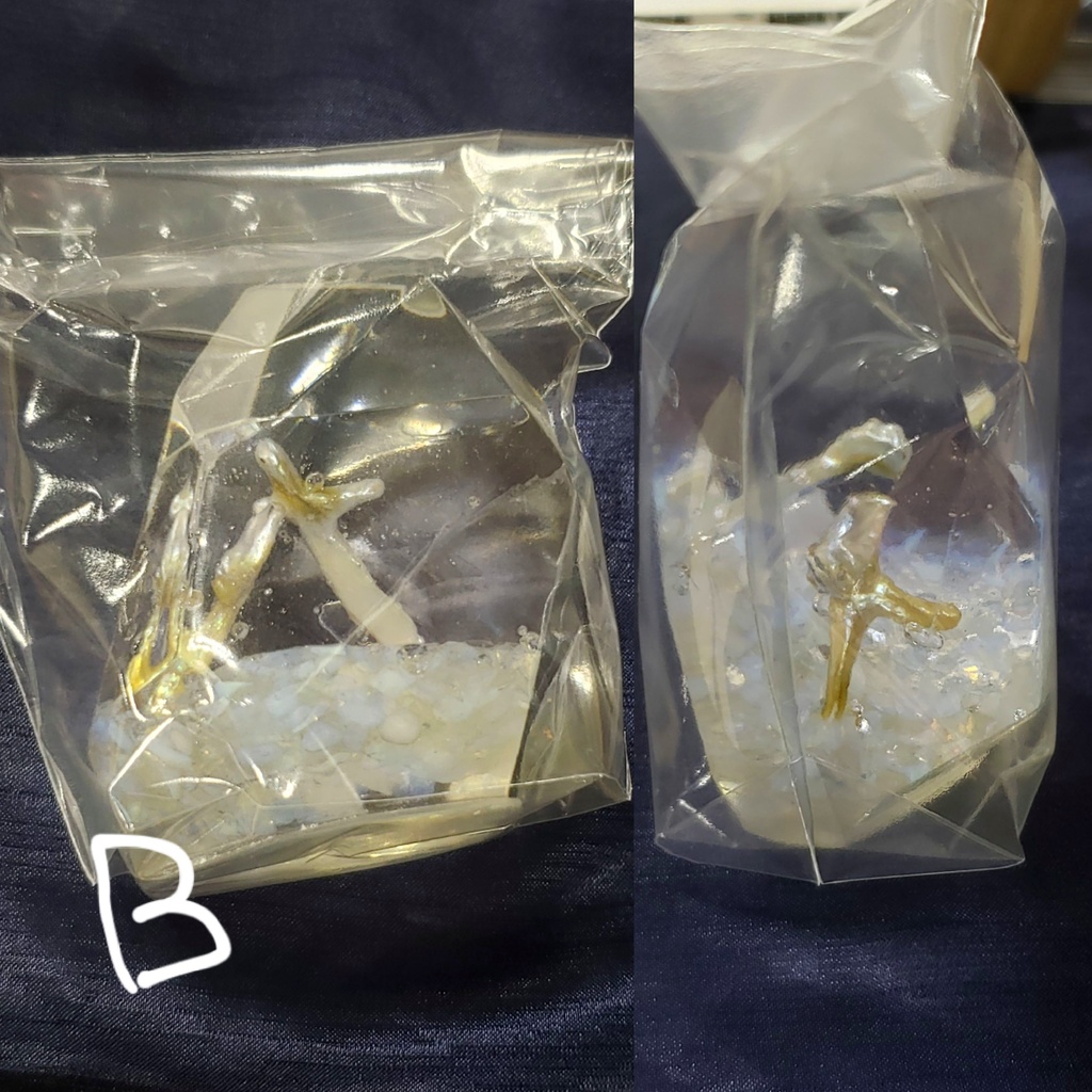 立体作品『人魚の庭園』シリーズ