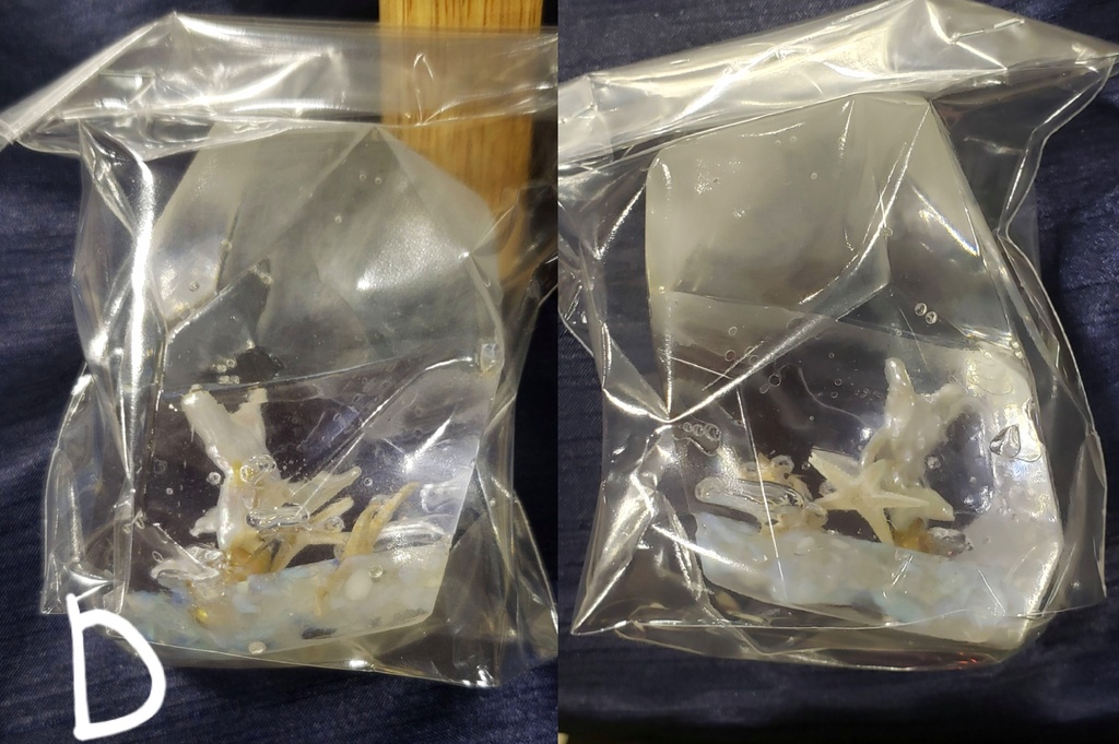 立体作品『人魚の庭園』シリーズ