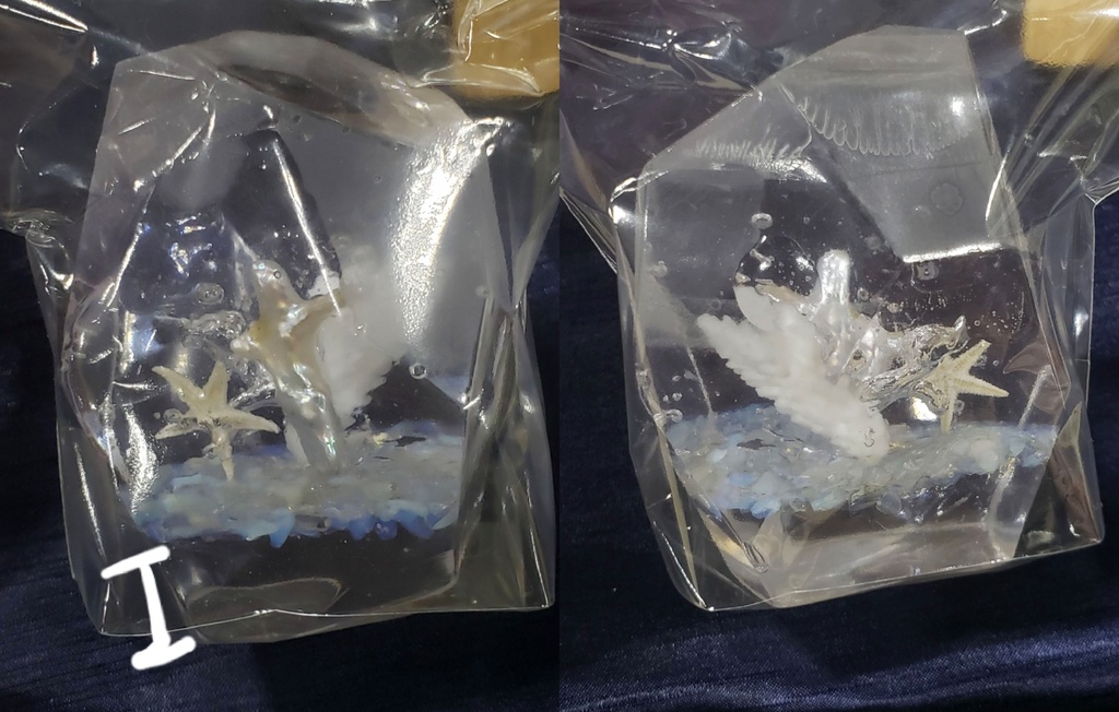 立体作品『人魚の庭園』シリーズ