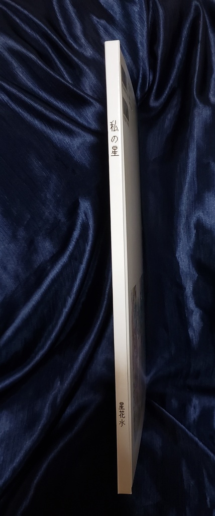 商業画集『私の星』