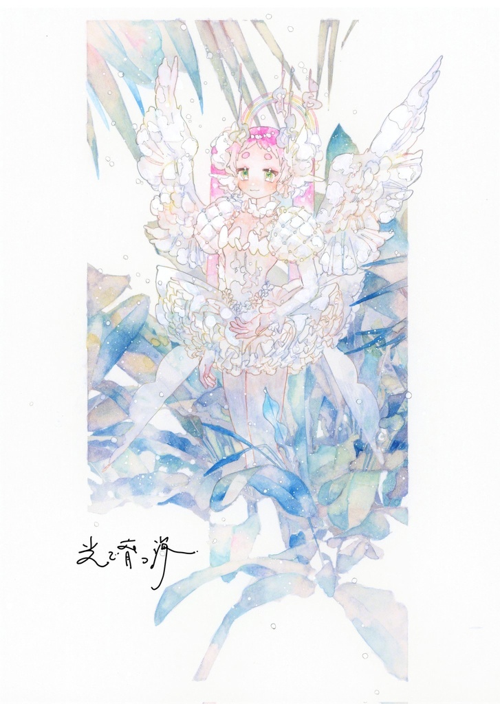 画集『光で育つ海』