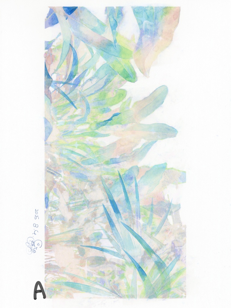 原画『ロマンス植物』シリーズ