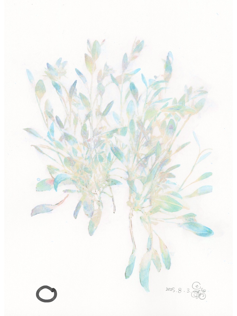 原画『ロマンス植物』シリーズ