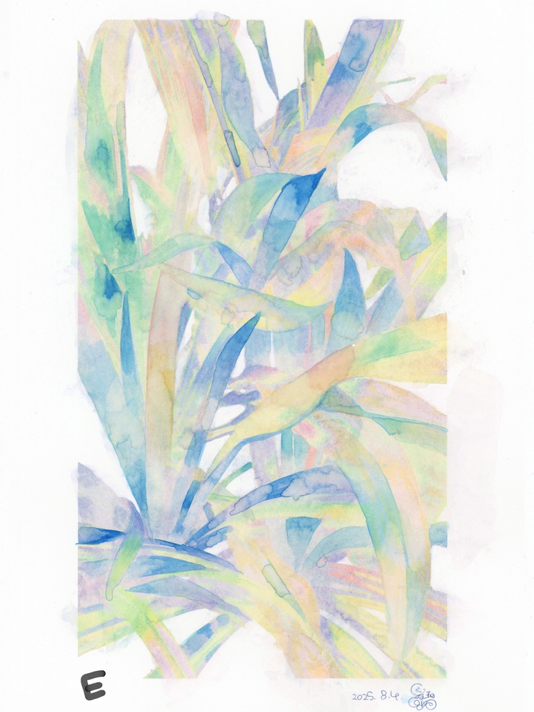 原画『ロマンス植物』シリーズ