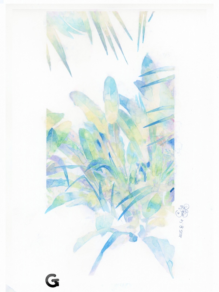 原画『ロマンス植物』シリーズ