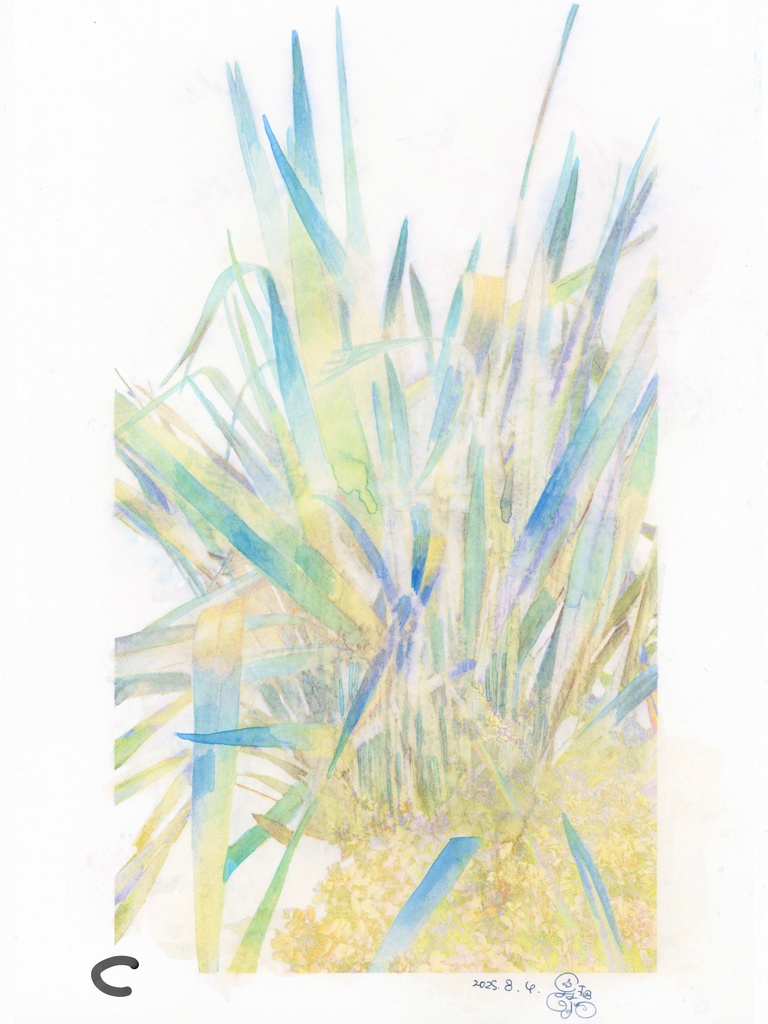 原画『ロマンス植物』シリーズ