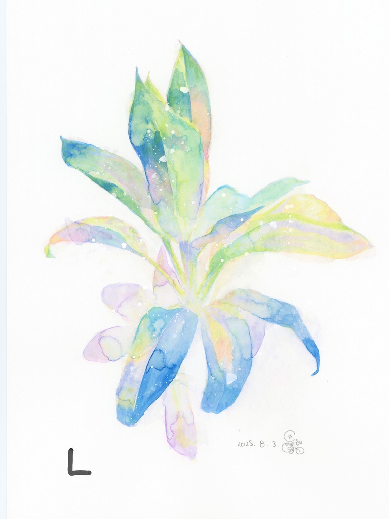 原画『ロマンス植物』シリーズ