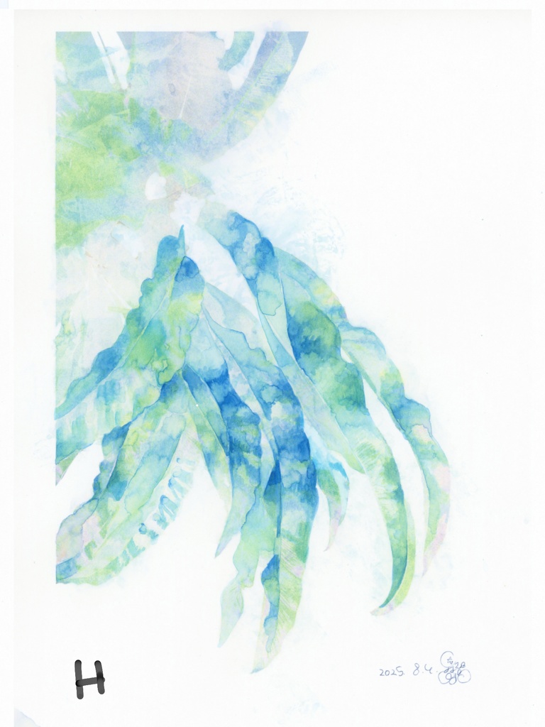 原画『ロマンス植物』シリーズ