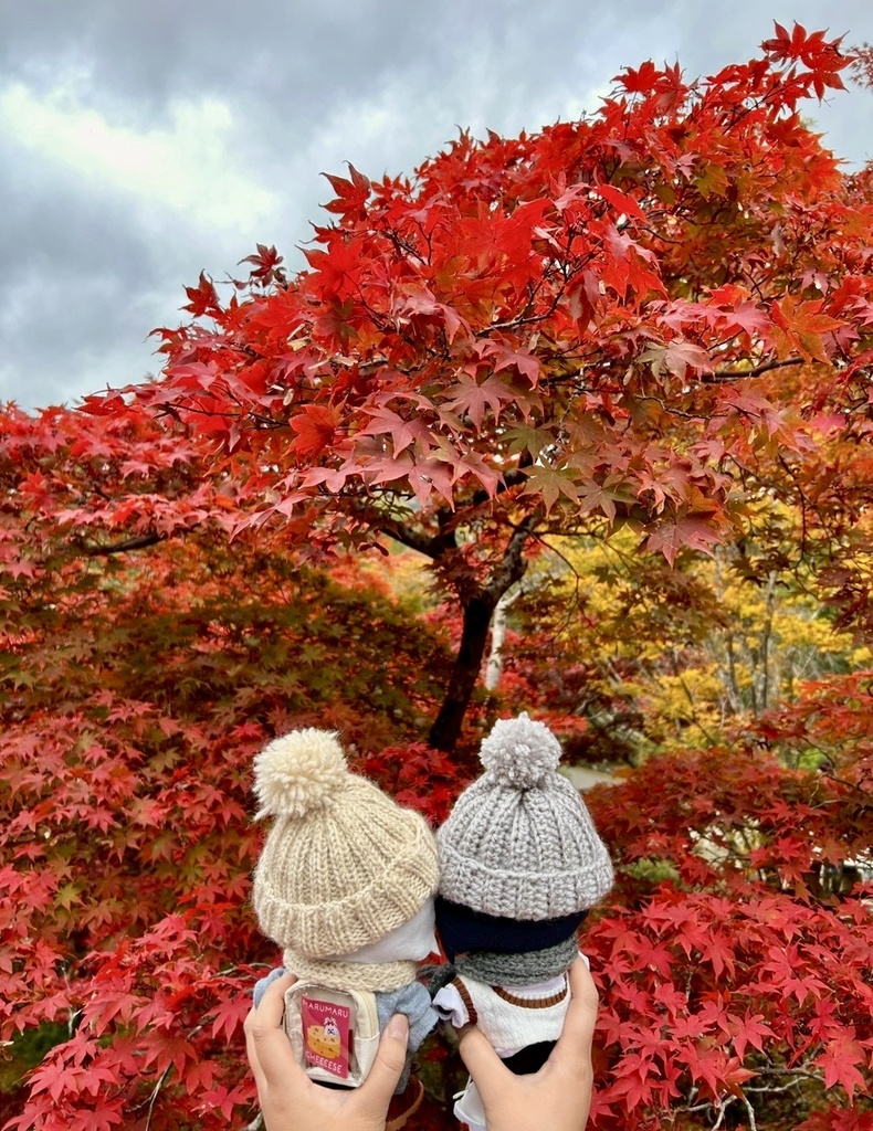 わんぱく用ニット帽