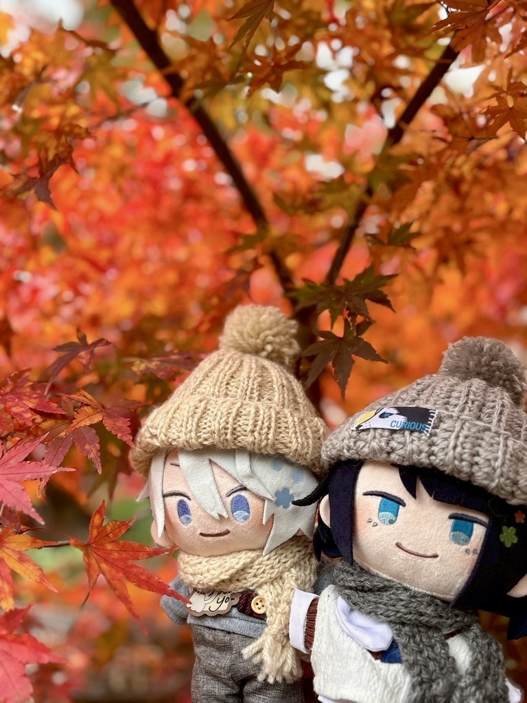 わんぱく用ニット帽