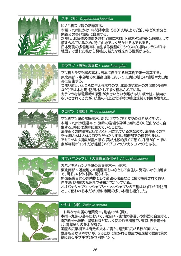 ちょっと分かる!鉄道林!