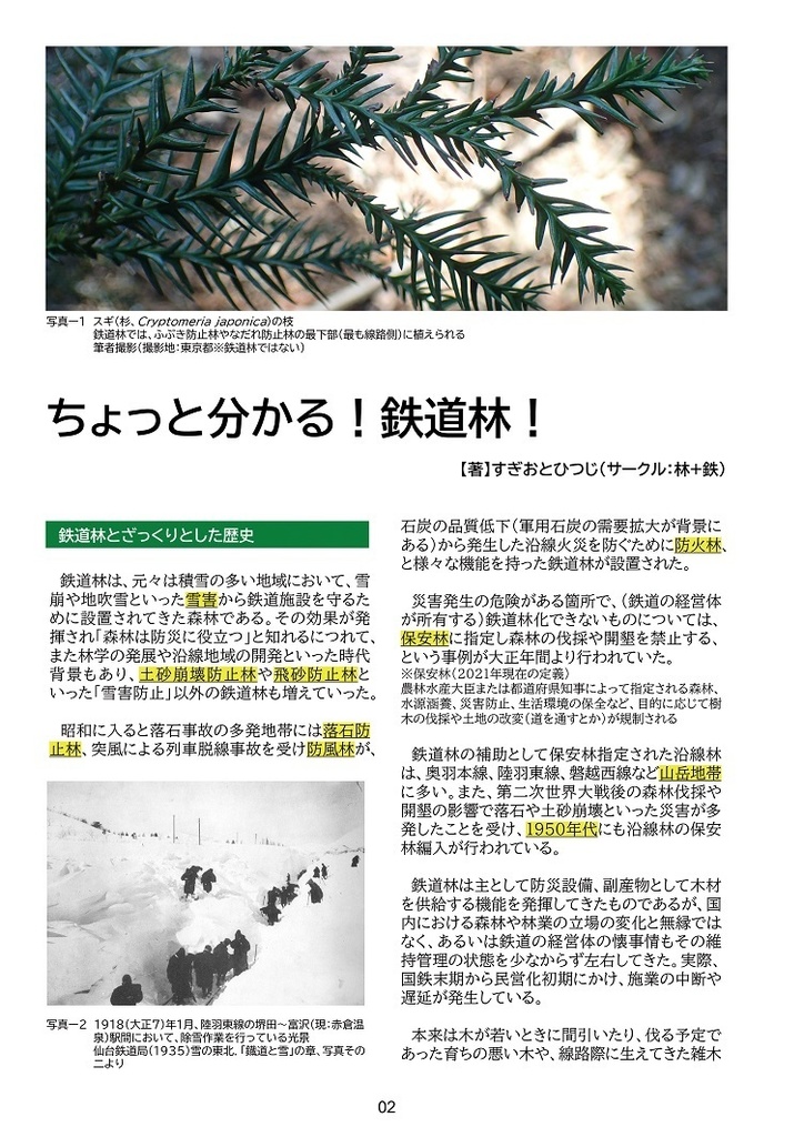 ちょっと分かる!鉄道林!