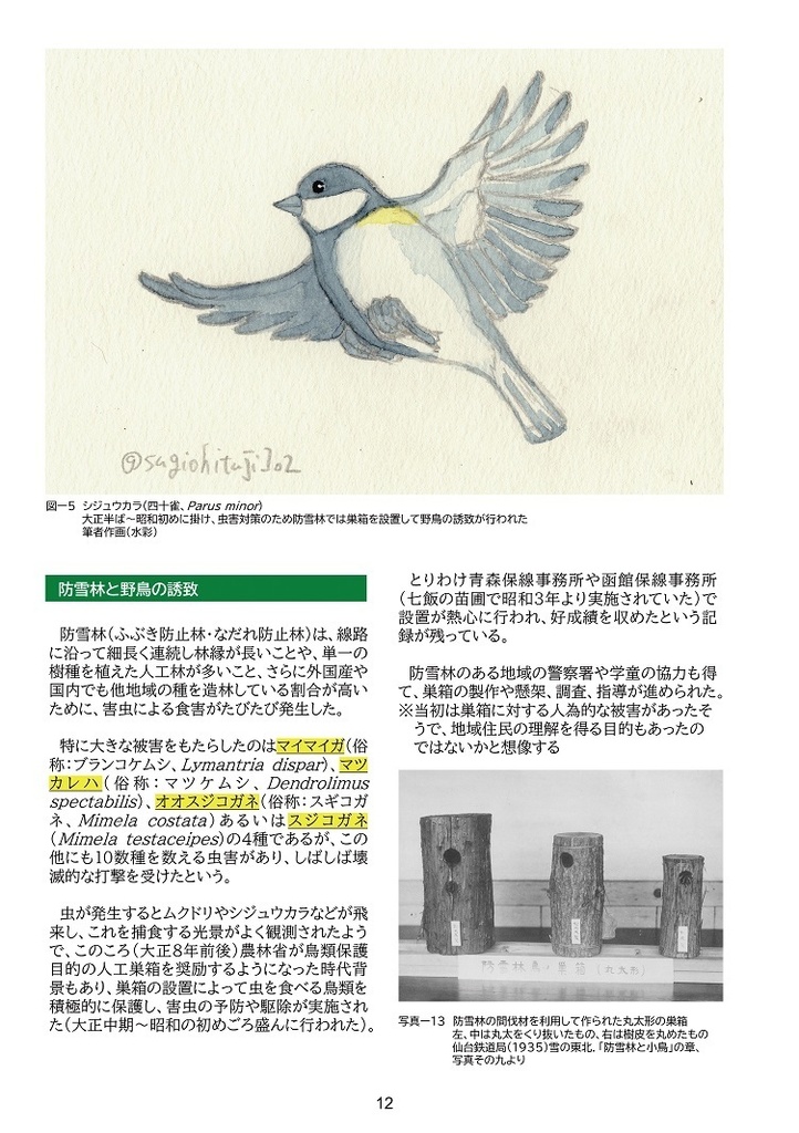 【電子版】ちょっと分かる!鉄道林!