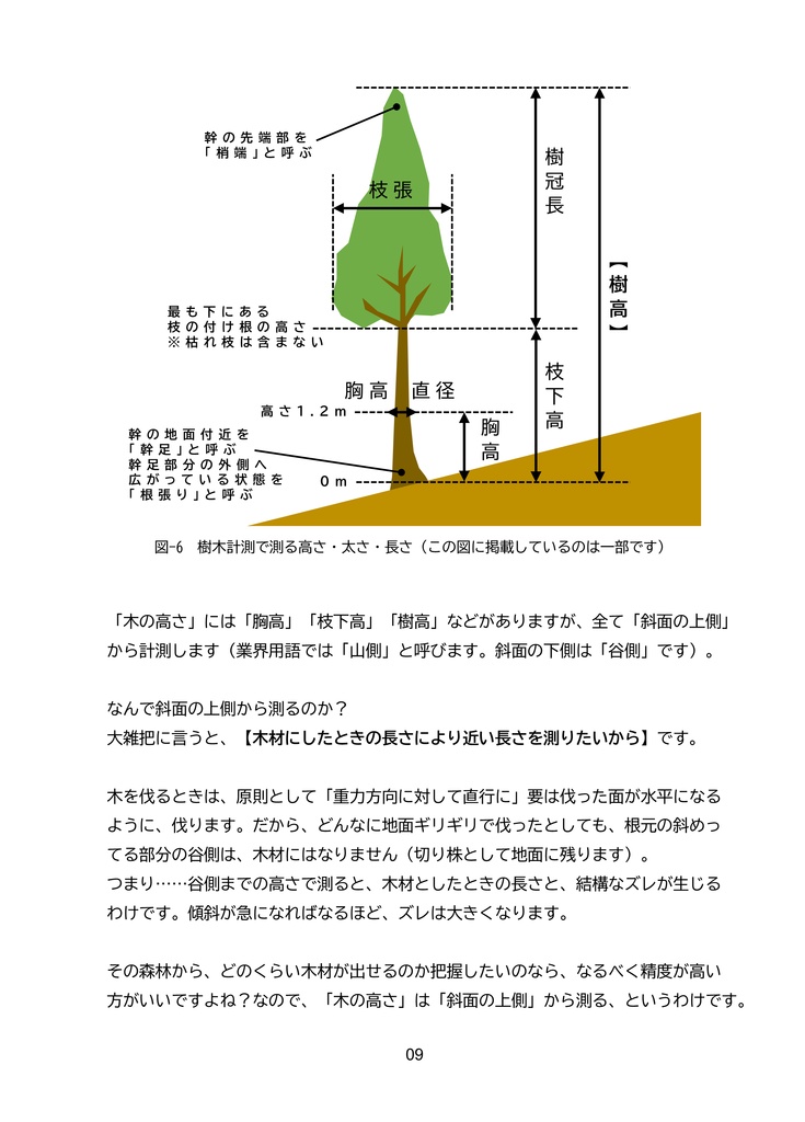 樹高計測 ~森林計測学・最大の未解決問題に迫る~