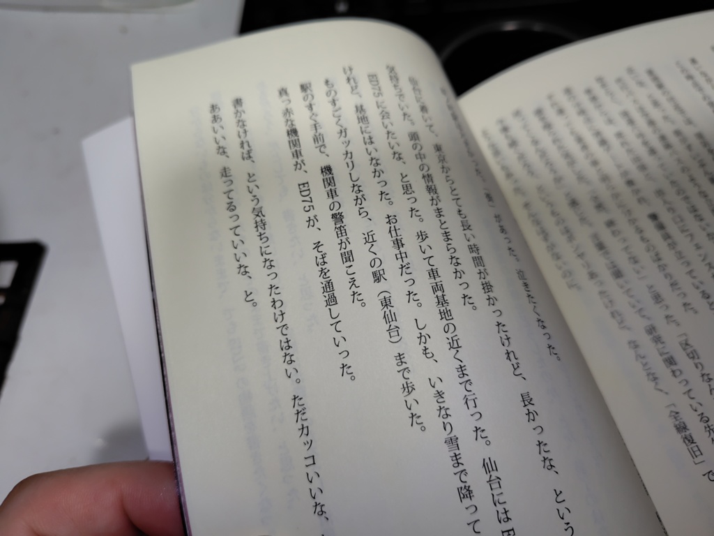 いちご畑に流れぼし