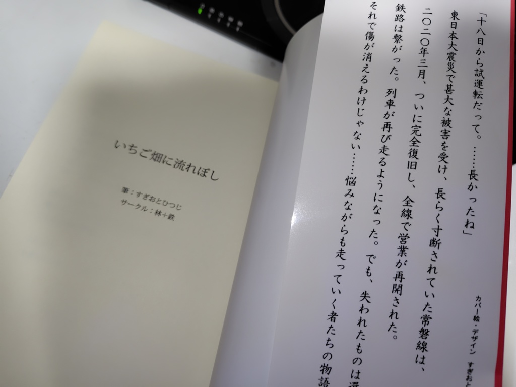 いちご畑に流れぼし