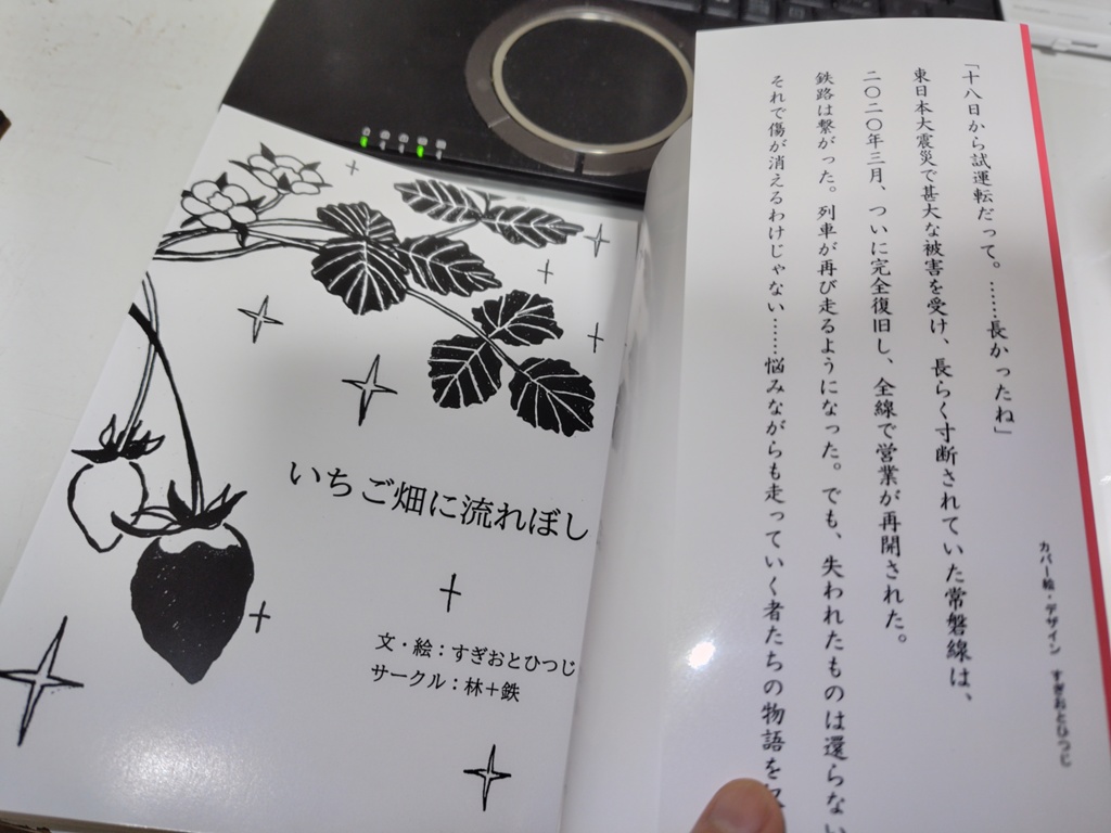 いちご畑に流れぼし