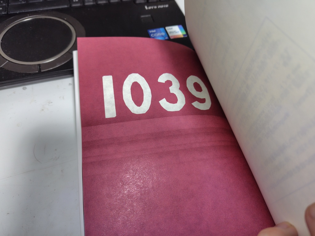 いちご畑に流れぼし