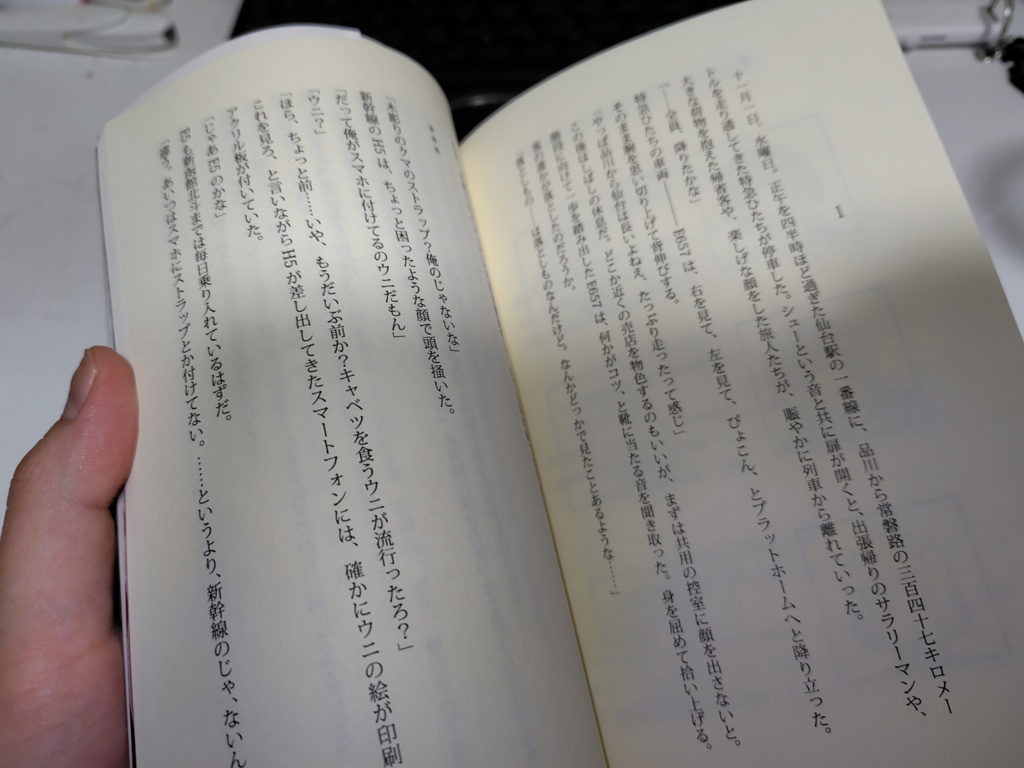 いちご畑に流れぼし