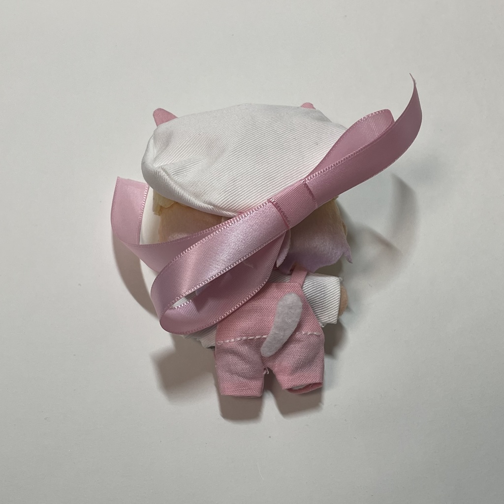 【1月】ねこちゃんセット