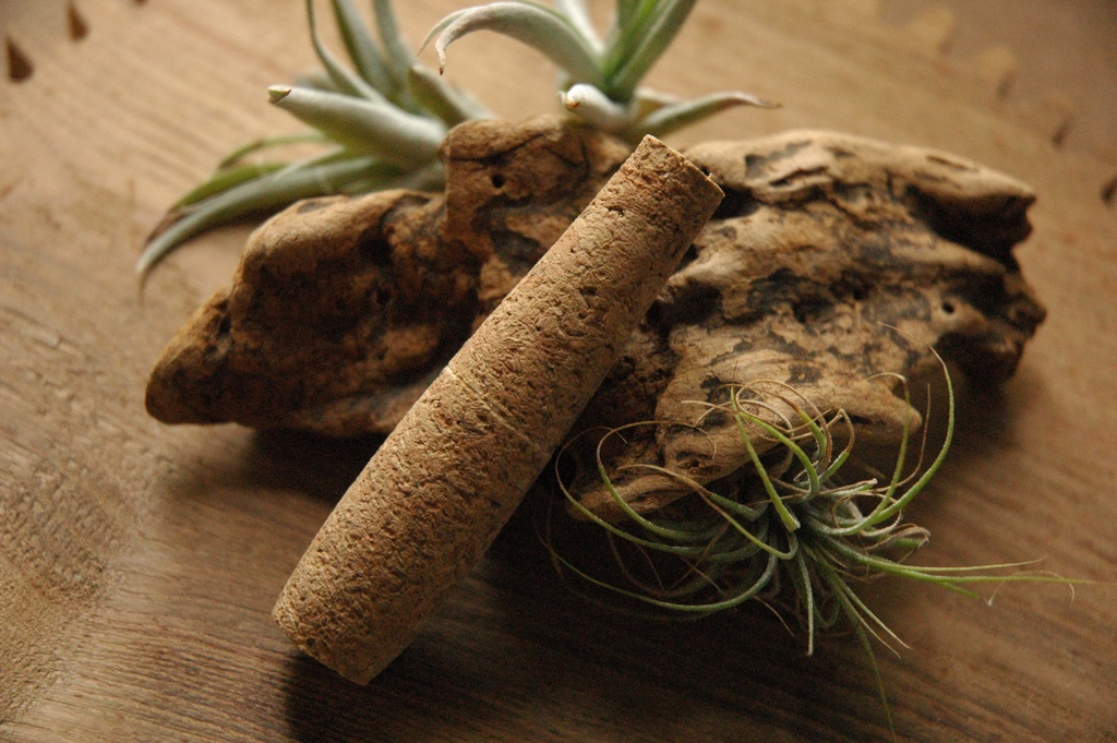 Apple Pencil用 コルクグリップ 《絵仕事グリップ LITE 》 第1世代・第2世代兼用