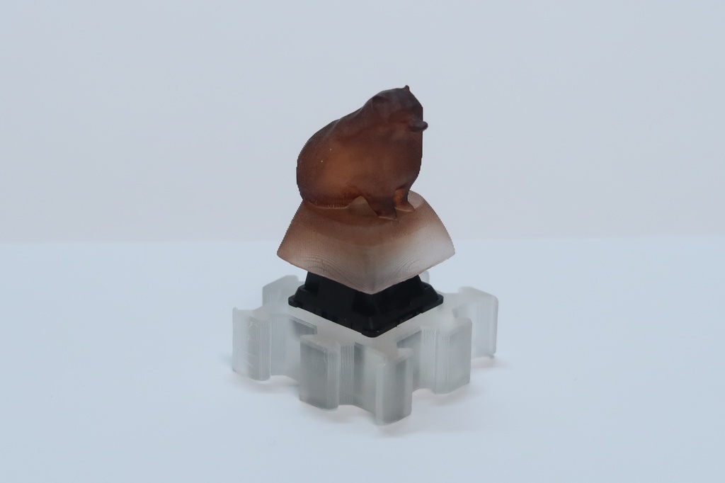 立体動物キーキャップ(タヌキ)