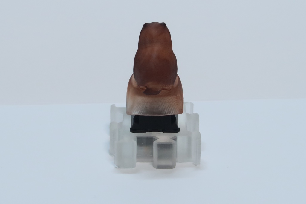 立体動物キーキャップ(タヌキ)