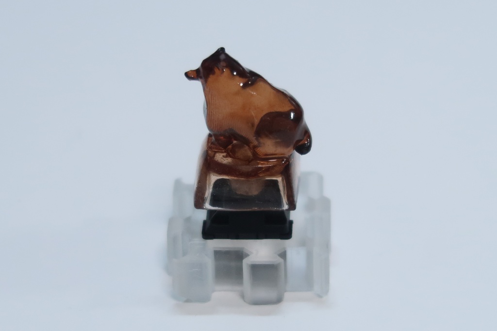 立体動物キーキャップ(タヌキ)