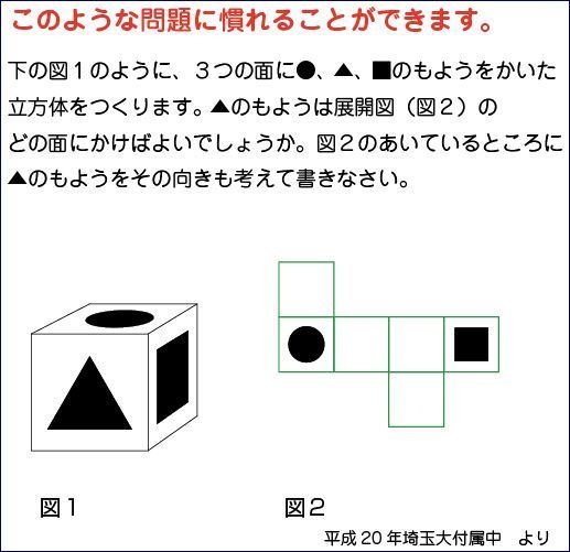 中学受験に役立つ 展開図 立方体11パターン+正四面体2パターン 紙製 切り抜き