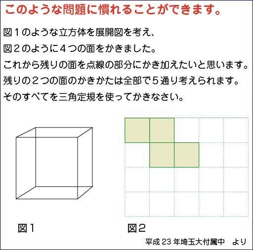 中学受験対策 空間図形の学習 展開図 立方体11パターン+正四面体2パターン 紙製 切り抜き