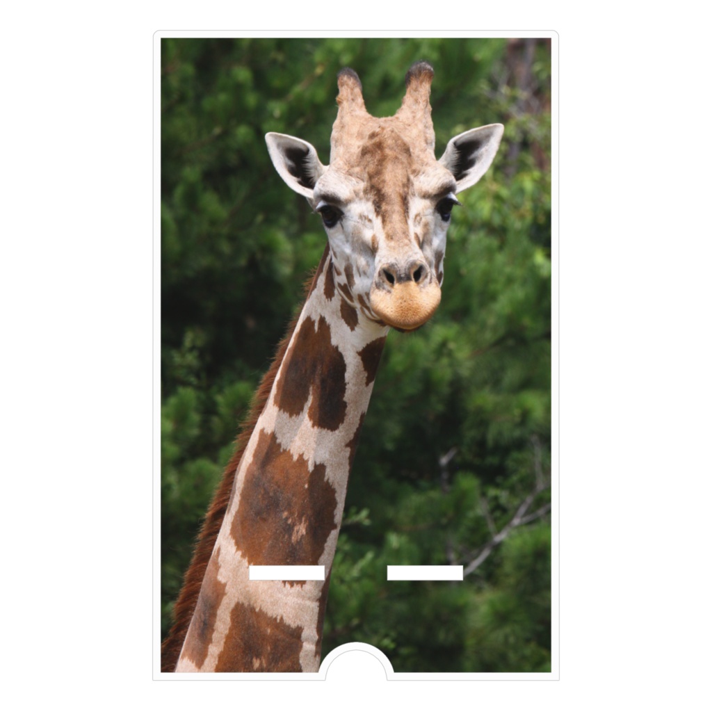 キリン アクリルスマホスタンド(ケーブル穴あり)