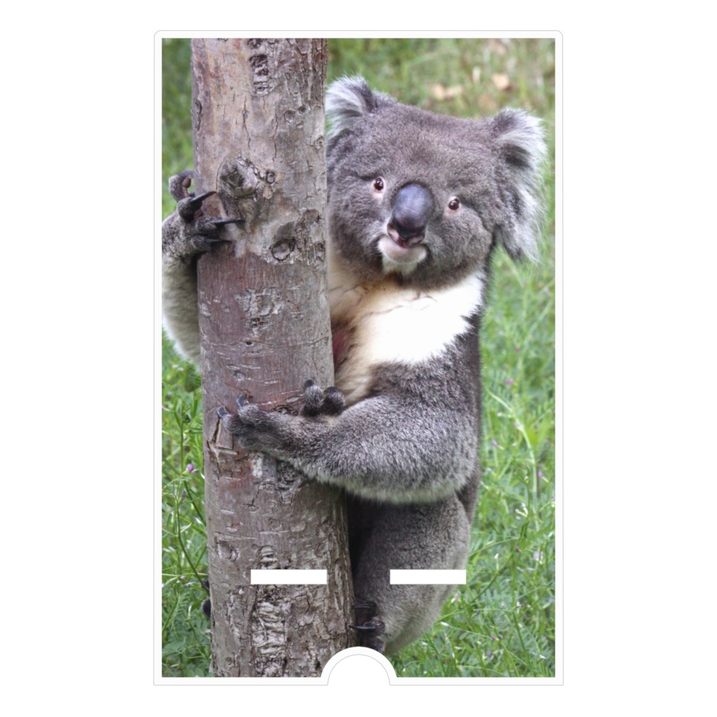 コアラ アクリルスマホスタンド(ケーブル穴あり)